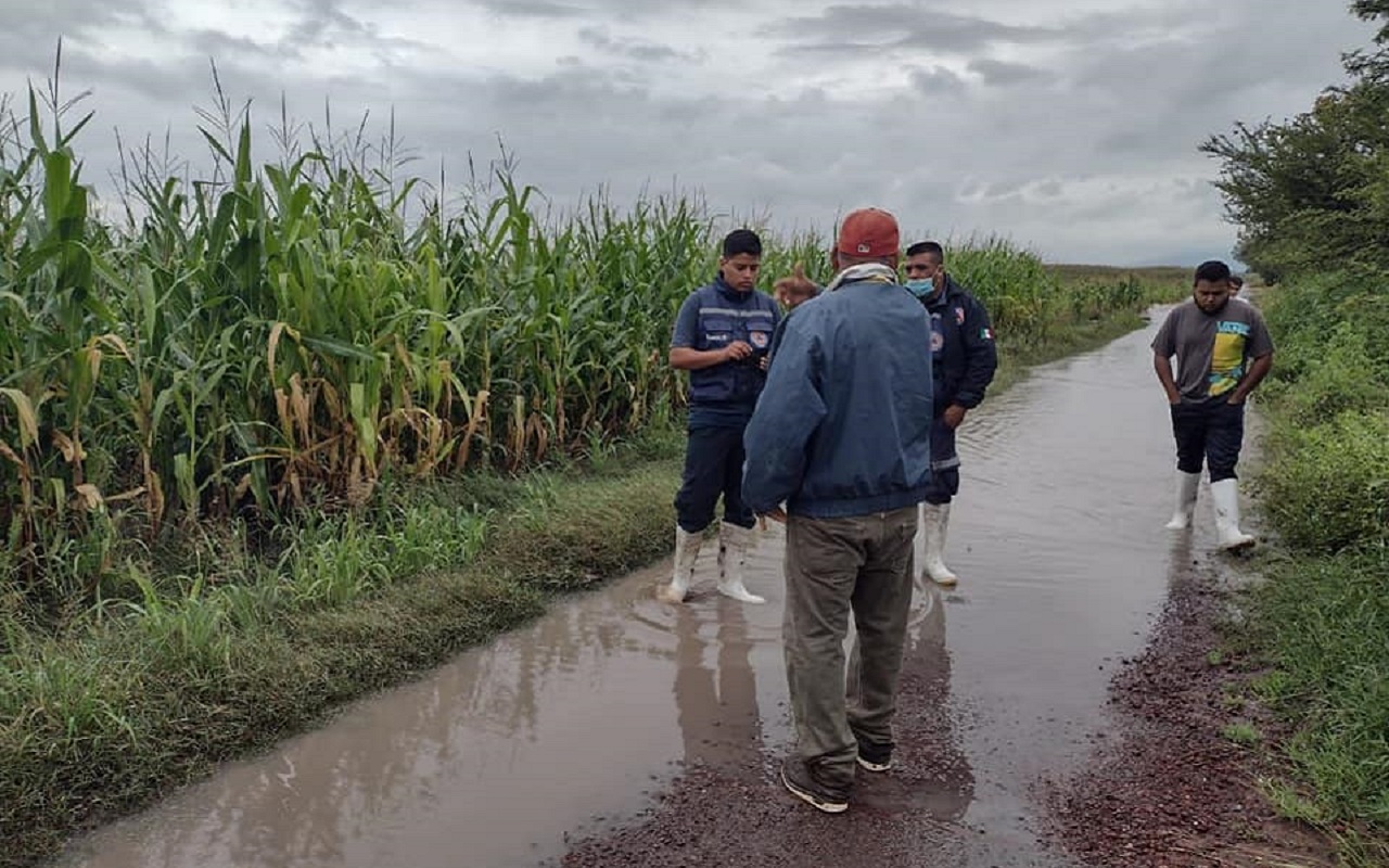 Así quedaron algunos sembradíos afectados por las fuertes lluvias en Pénjamo, Guanajuato. | Foto: Facebook Protección Civil Pénjamo.