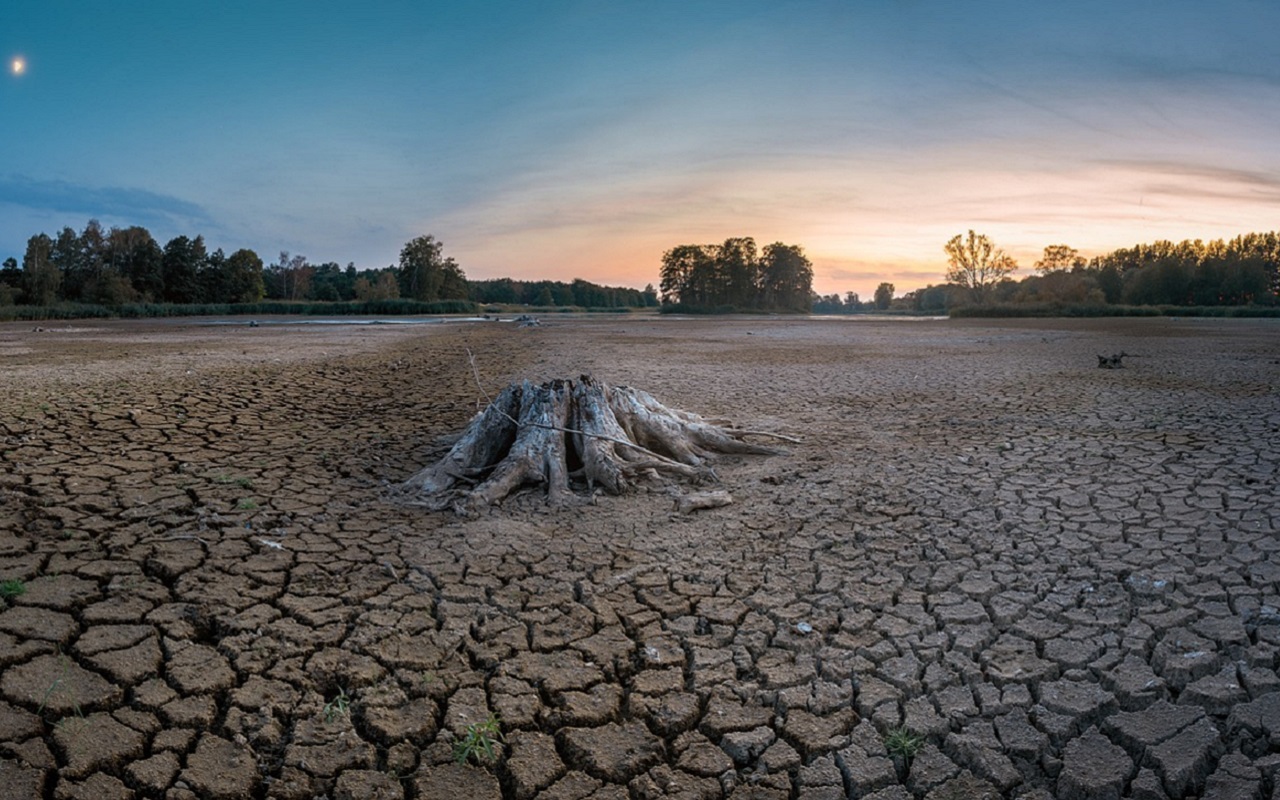 El gobierno de California llama a la población a ahorrar agua para hacer frente a esta sequía. | Foto: Pixabay.