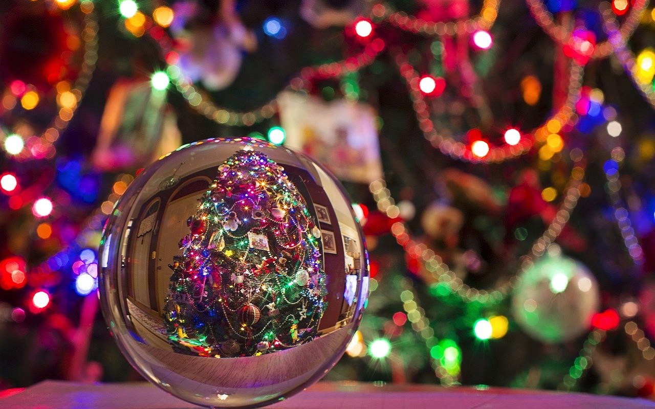 Con luces, de colores o en la pared: adorna tu arbolito de Navidad con estas tres ideas. | Foto: Pixabay.