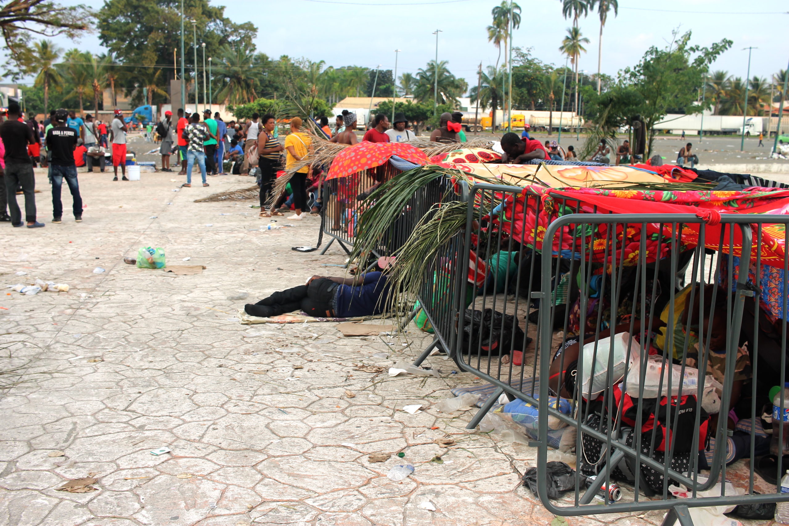 Migrantes haitianos acampando. | Foto: Francisco Barradas Benítez.