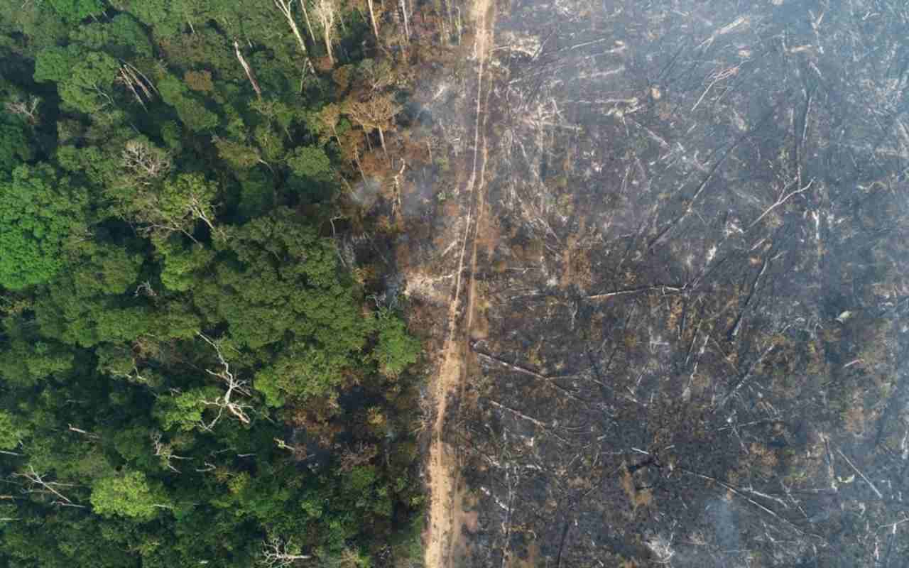Vista general de un tramo de la selva amazónica que arde mientras es limpiado por madereros y agricultores | Foto: Voz de América / Reuters