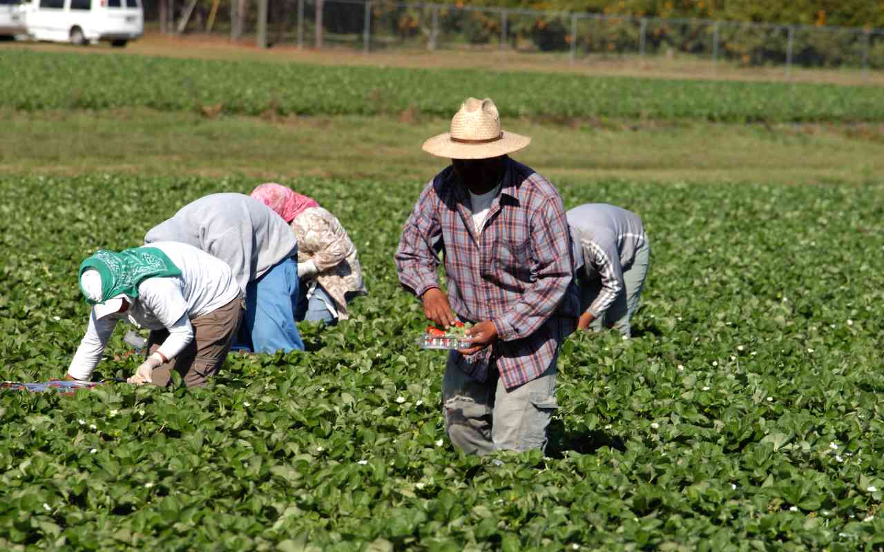 Los trabajadores esenciales no dejaron de trabajar durante la pandemia de Covid-19. | Foto: Depositphotos