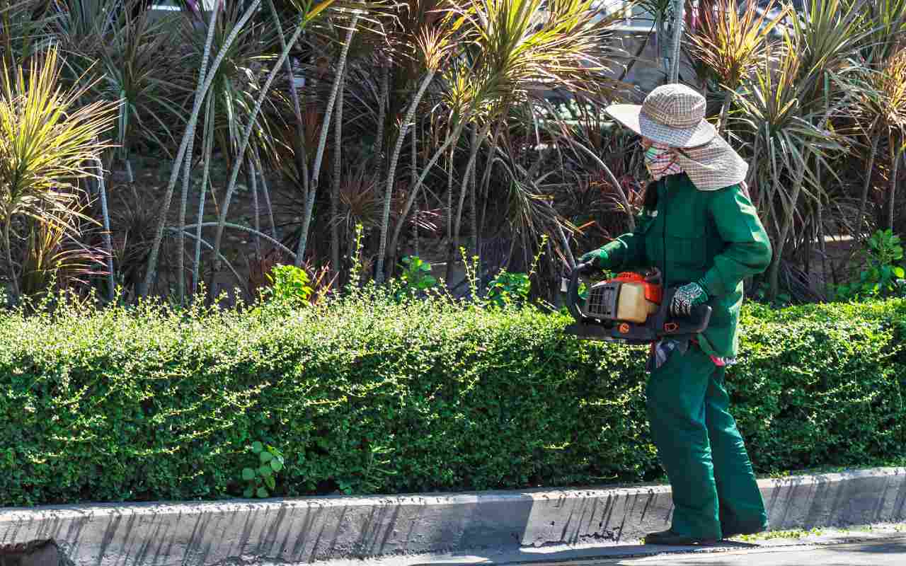 Este trabajo en Canadá para jardineros mexicanos ofrece un salario de 40 mil pesos al mes. | Foto: Depositphotos