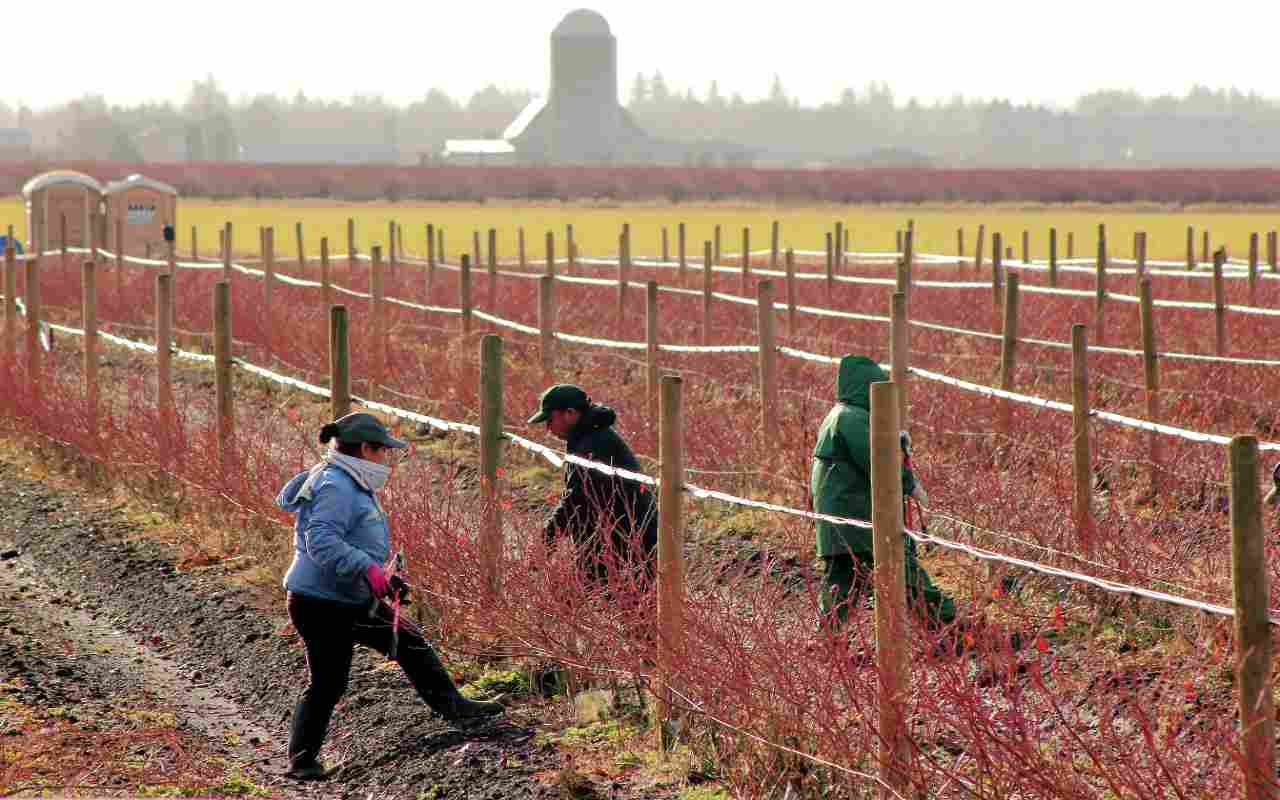 Para todos los migrantes que tengan permiso de trabajo en USA, USCIS extendió su duración año y medio. | Foto: Depositphotos