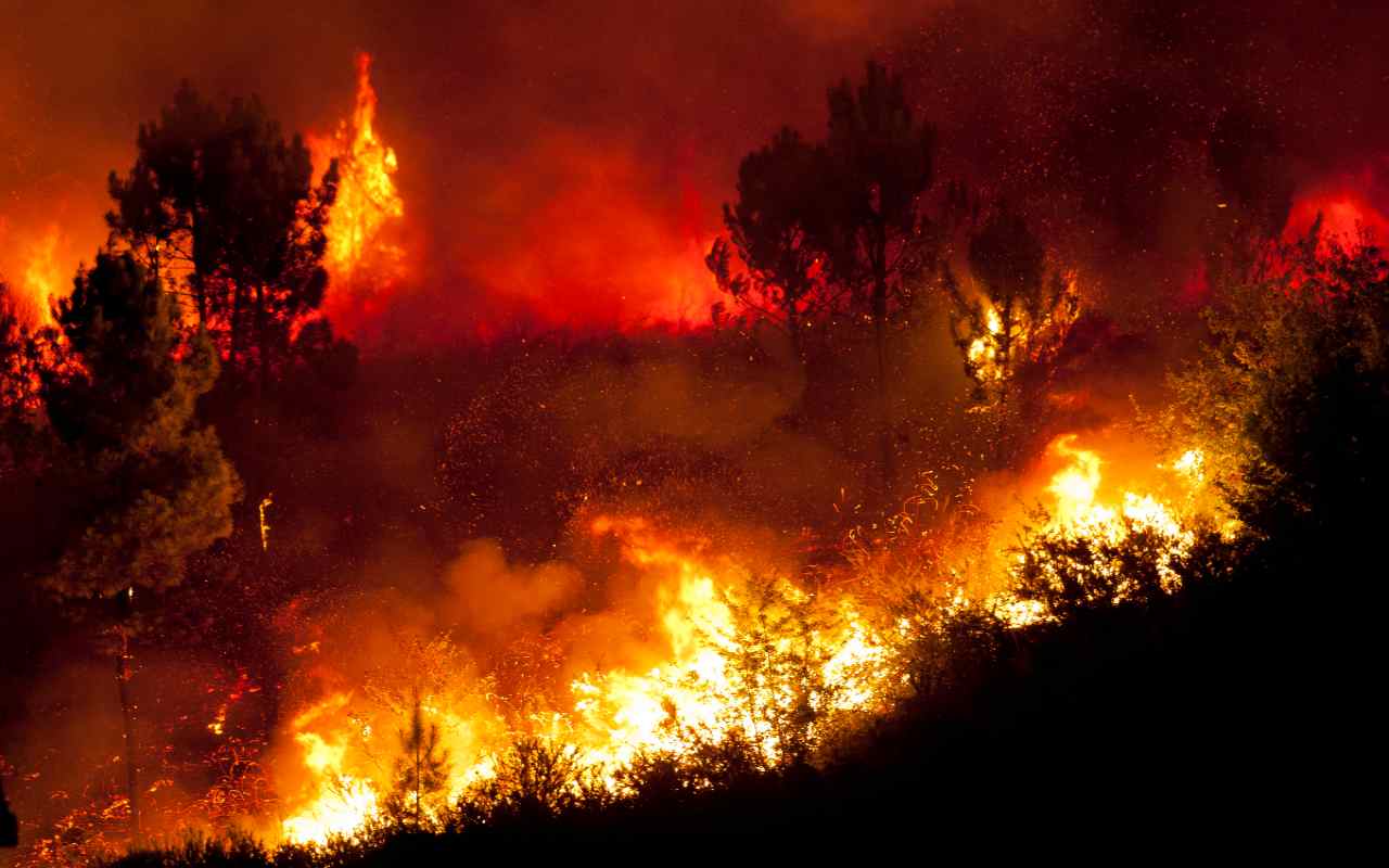 Medidas para actuar durante un incendio forestal. | Foto: Depositphotos