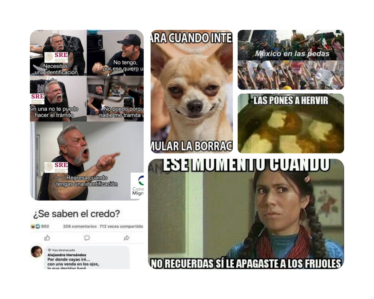 Estos son los mejores memes de la semana en Conexión Migrante. | Foto: Conexión Migrante
