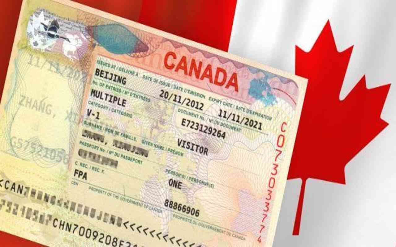 Las visas falsas de trabajo para Canadá pueden ponerte en peligro. | Foto: Especial.