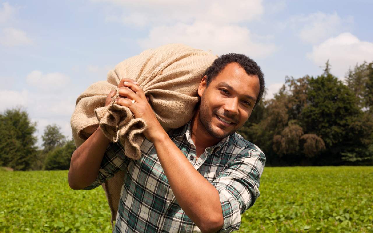 Hay varias oportunidades de trabajo en Estados Unidos sin necesidad de saber inglés. | Foto: Imagen del Archivo de Depositphotos.