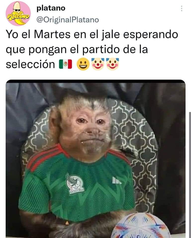 ¡Arriba México!
