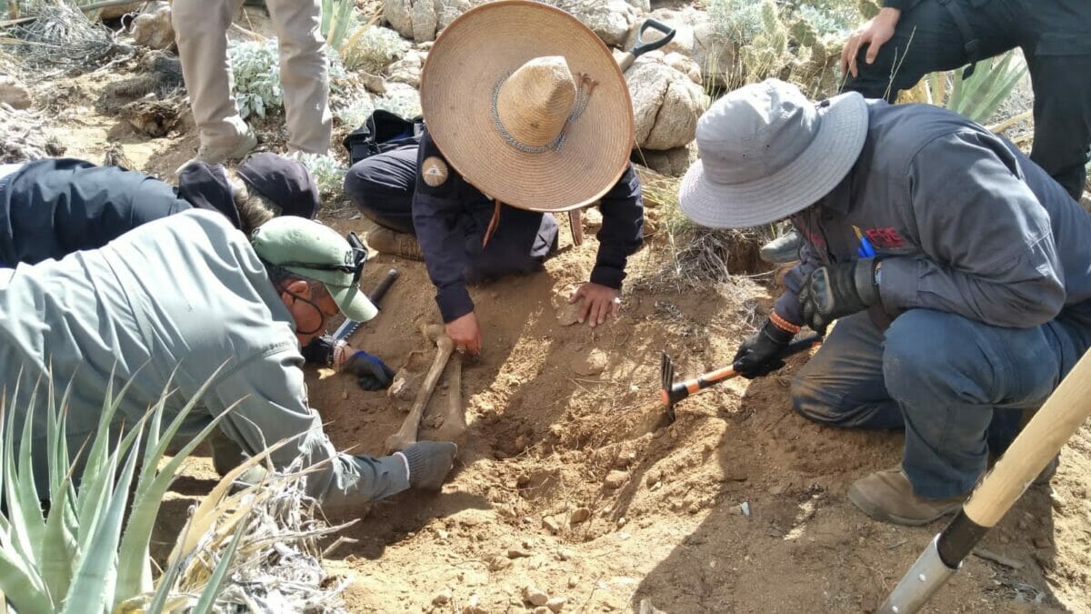 Colectivos y corporaciones hallan restos humanos en La Rumorosa 