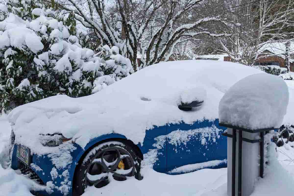 Un carro quedó cubierto de nieve en Portland el jueves 23 de febrero. Foto: Voz de América