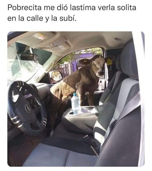 ¿Cómo la iba a dejar ahí?