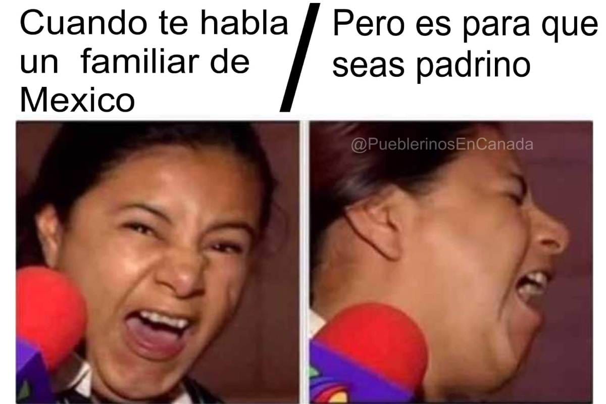 Diviértete con los mejores memes de la semana en Conexión Migrante