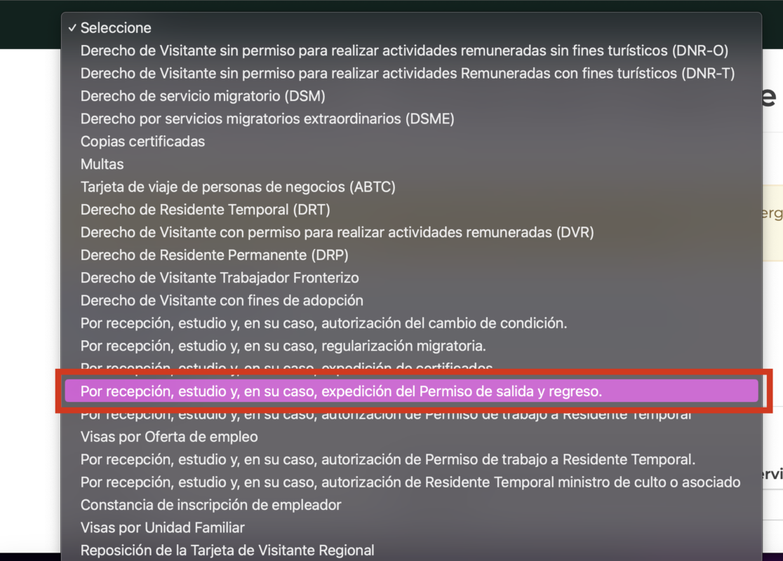 Permiso De Salida Y Regreso A México ¿cómo Lo Puedo Tramitar