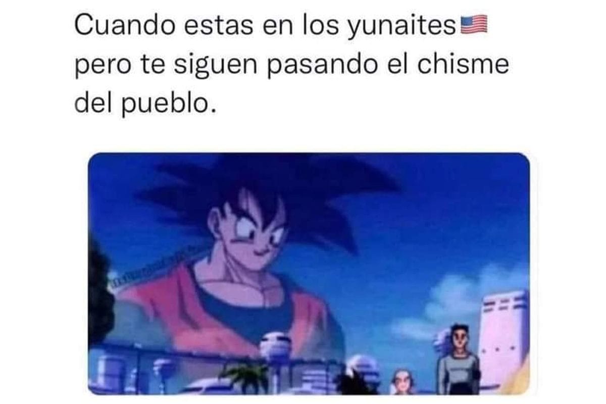 Diviértete con los mejores memes de la semana en Conexión Migrante