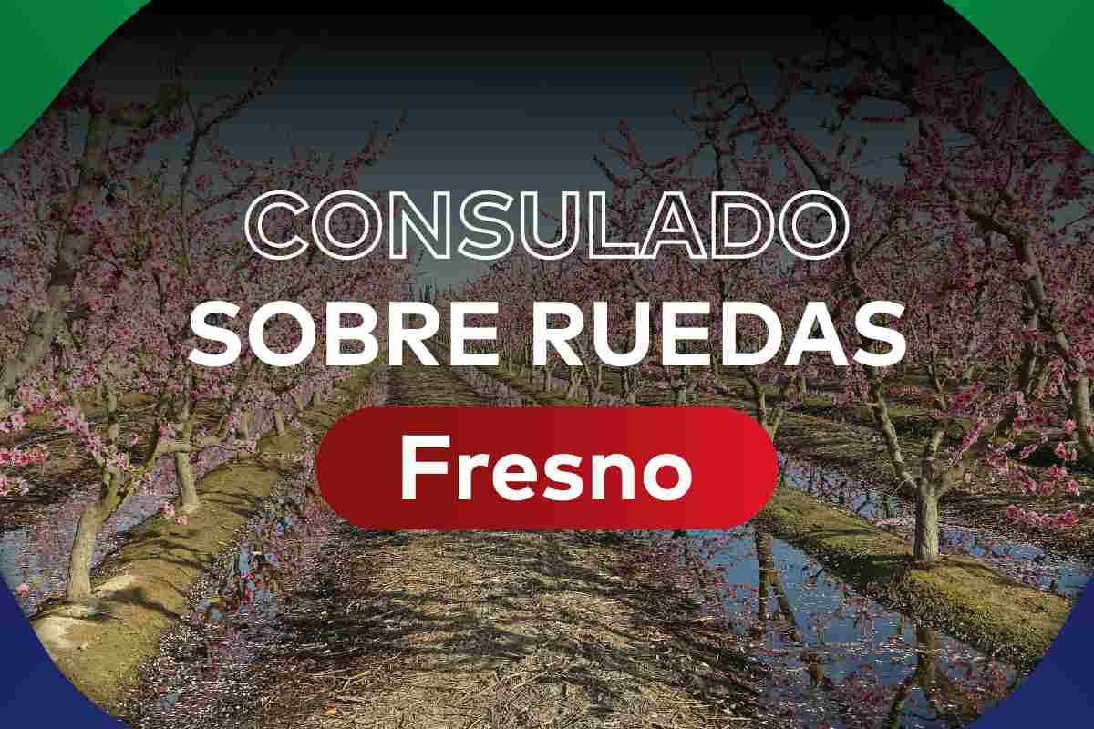 Las autoridades informaron que no es posible agendar cita con más de dos semanas de anticipación para acudir al consulado mexicano sobre ruedas | Foto: Especial