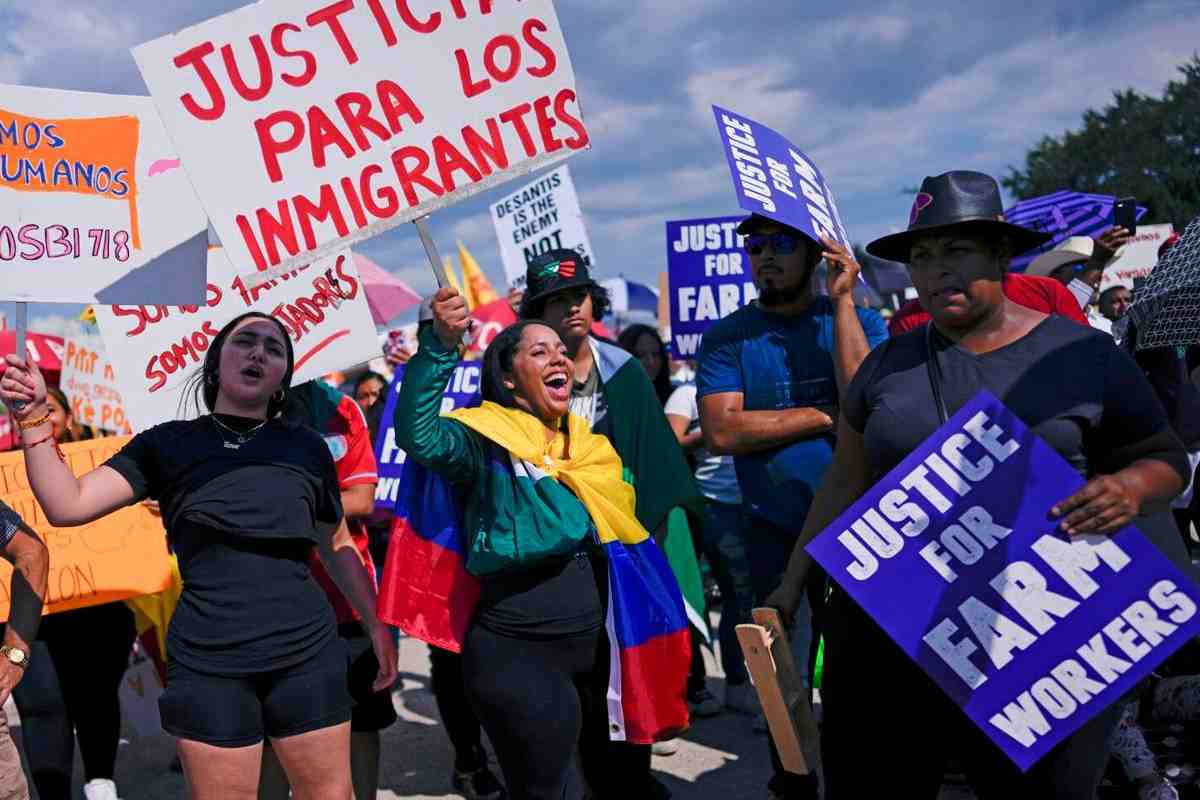 La ley en Florida no reconoce credenciales para indocumentados como válidos en el estado | Foto: Florida Immigrant Coalition Facebook