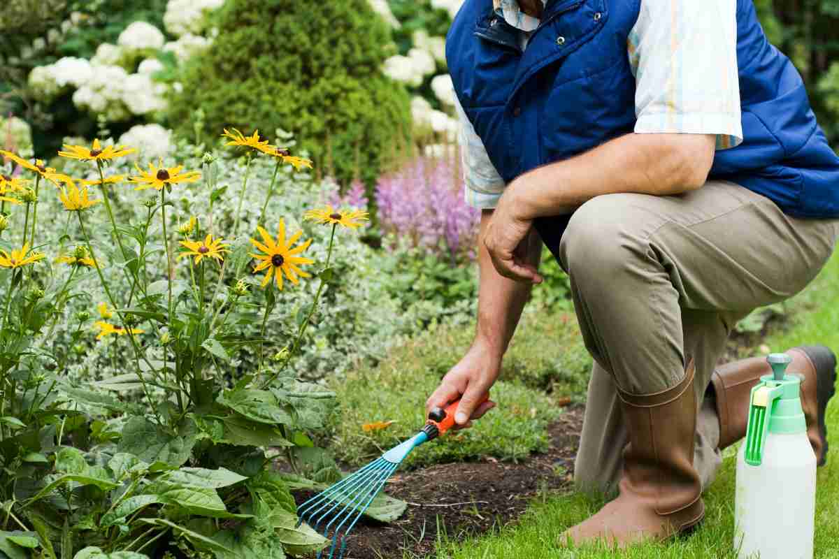 Hay trabajo en Canadá como jardinero