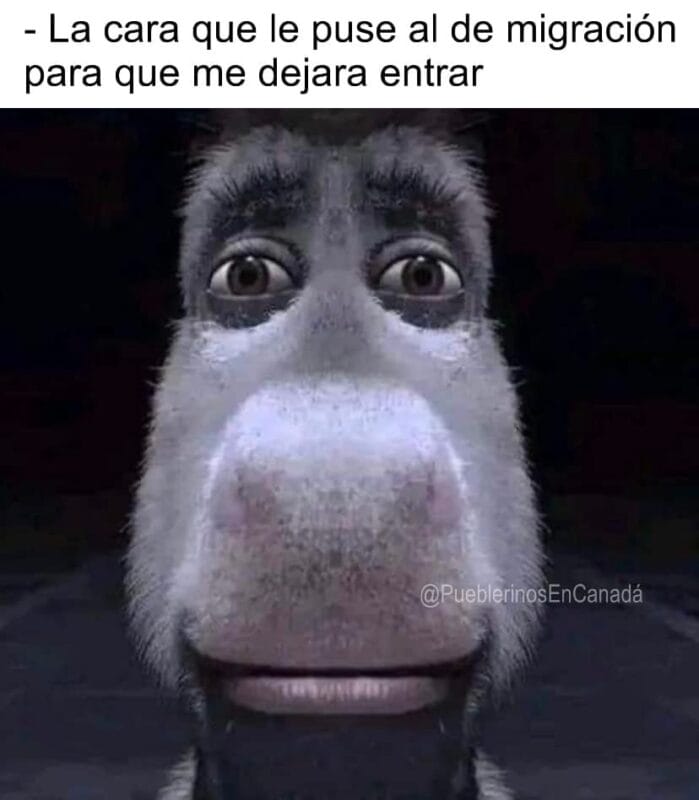 Conexión Migrante