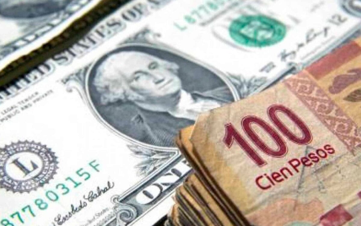 Precio del dólar hoy 14 de agosto de 2023 Conexión Migrante