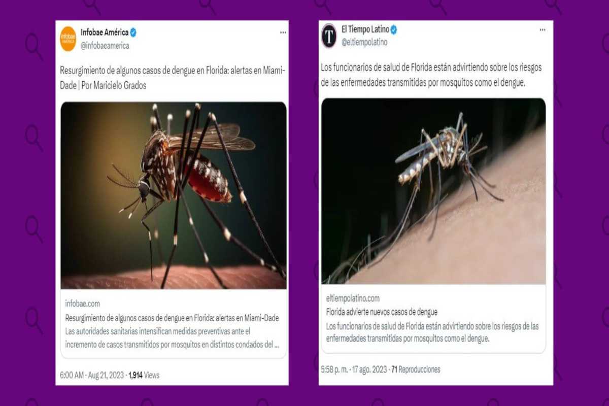 Qué sabemos sobre los casos de dengue reportados en Florida y cómo prevenir esta infección