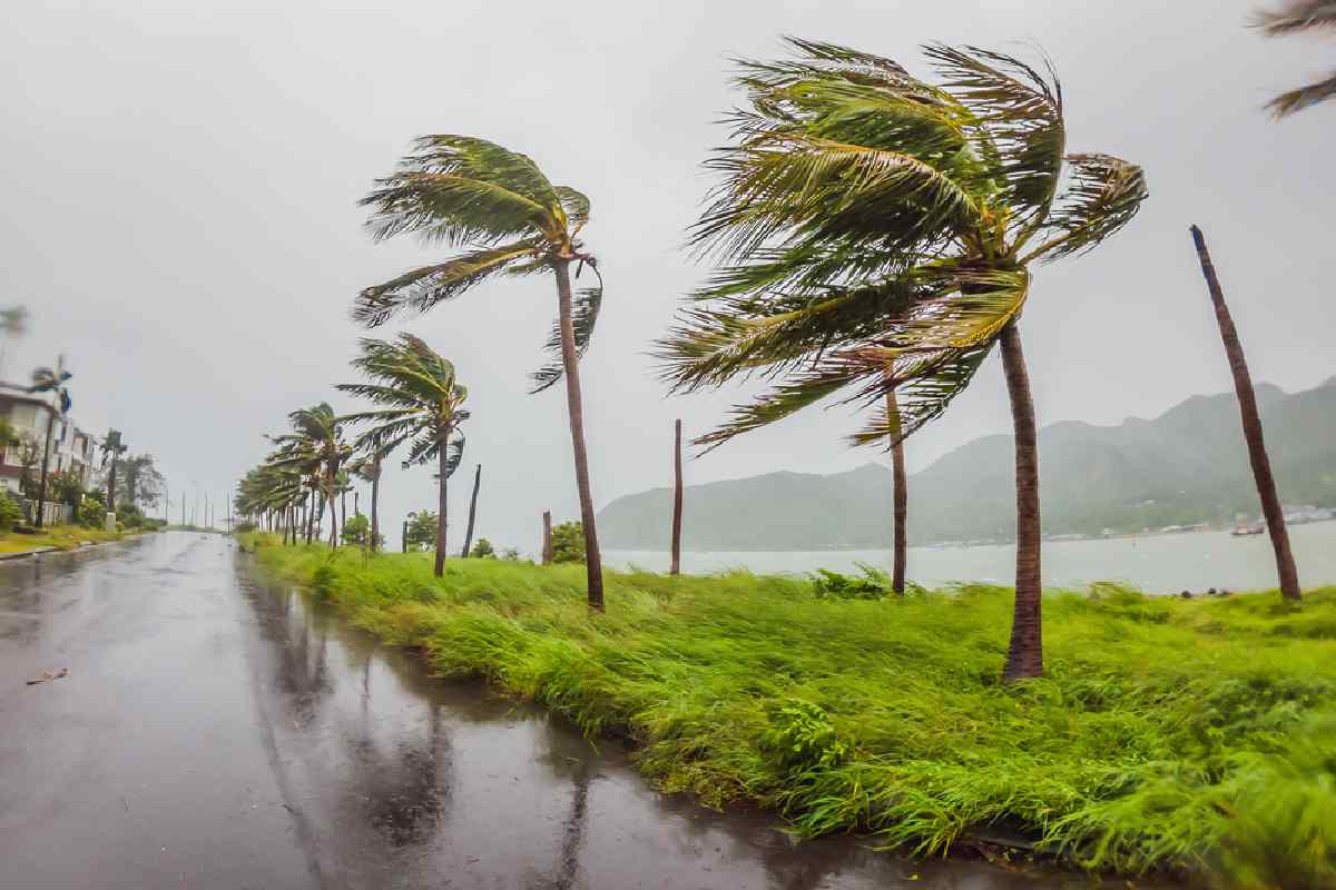 En temporada de huracanes debes contar con un directorio con números de emergencia y de tu consulado mpas cercano| Foto: imagen archivo de depositphotos
