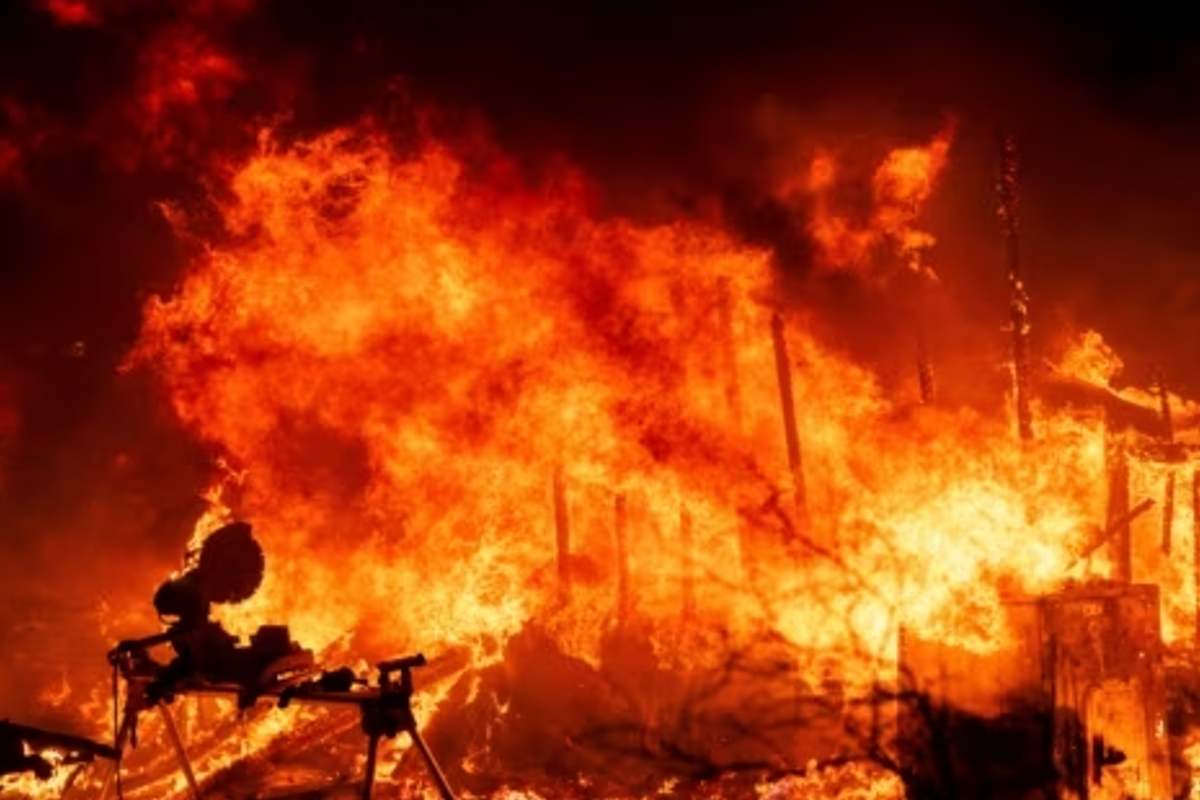 Incendio forestal en California || Foto: Voz de América